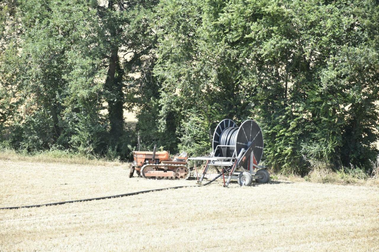 Agriturismo Fattoria Del Colle Iesi Eksteriør bilde