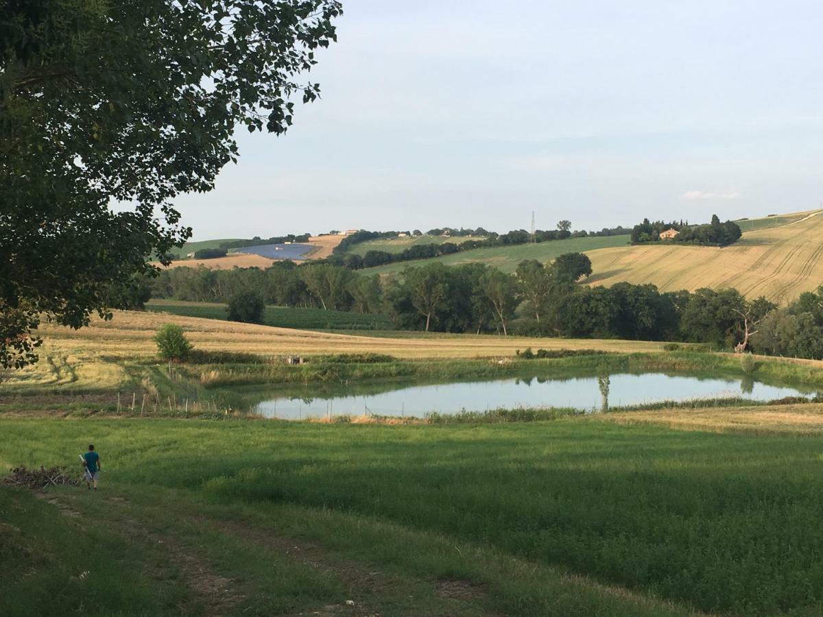 Agriturismo Fattoria Del Colle Iesi Eksteriør bilde