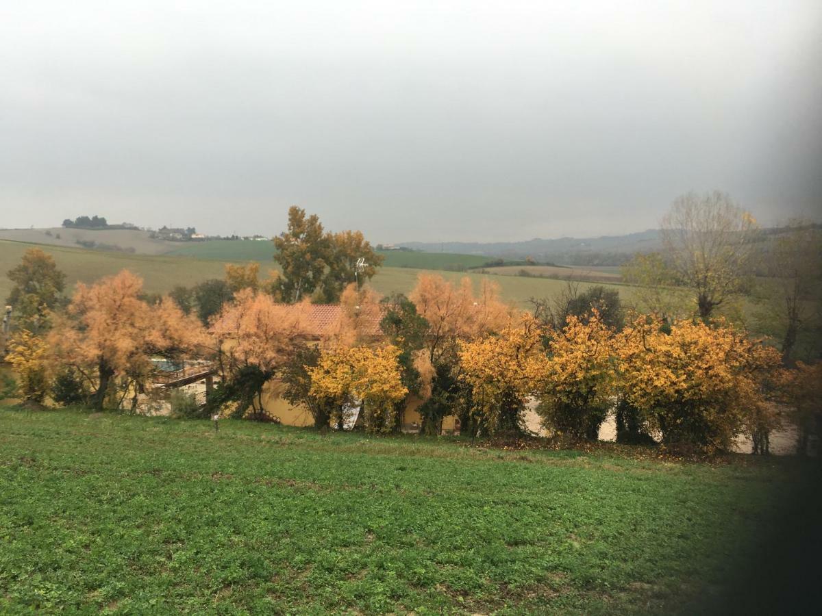 Agriturismo Fattoria Del Colle Iesi Eksteriør bilde