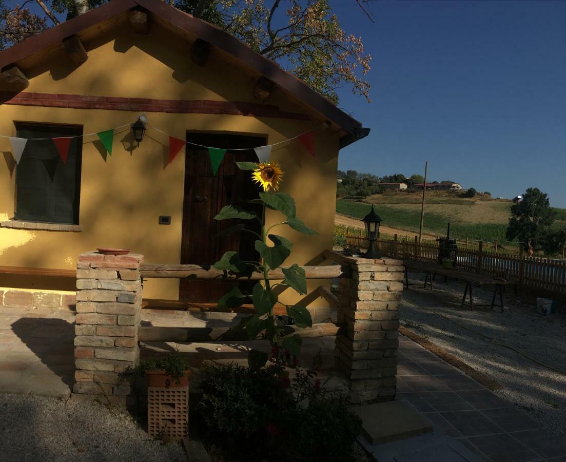 Agriturismo Fattoria Del Colle Iesi Eksteriør bilde