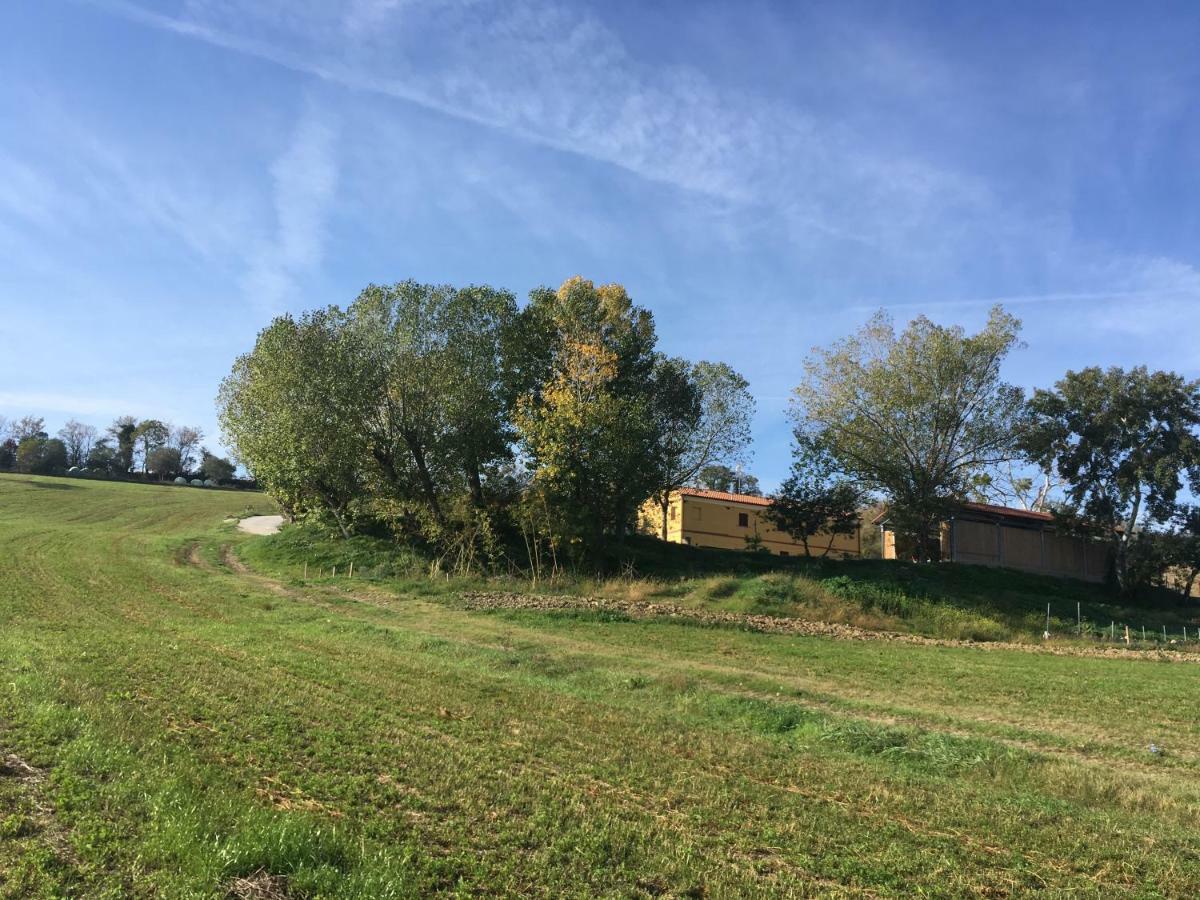 Agriturismo Fattoria Del Colle Iesi Eksteriør bilde