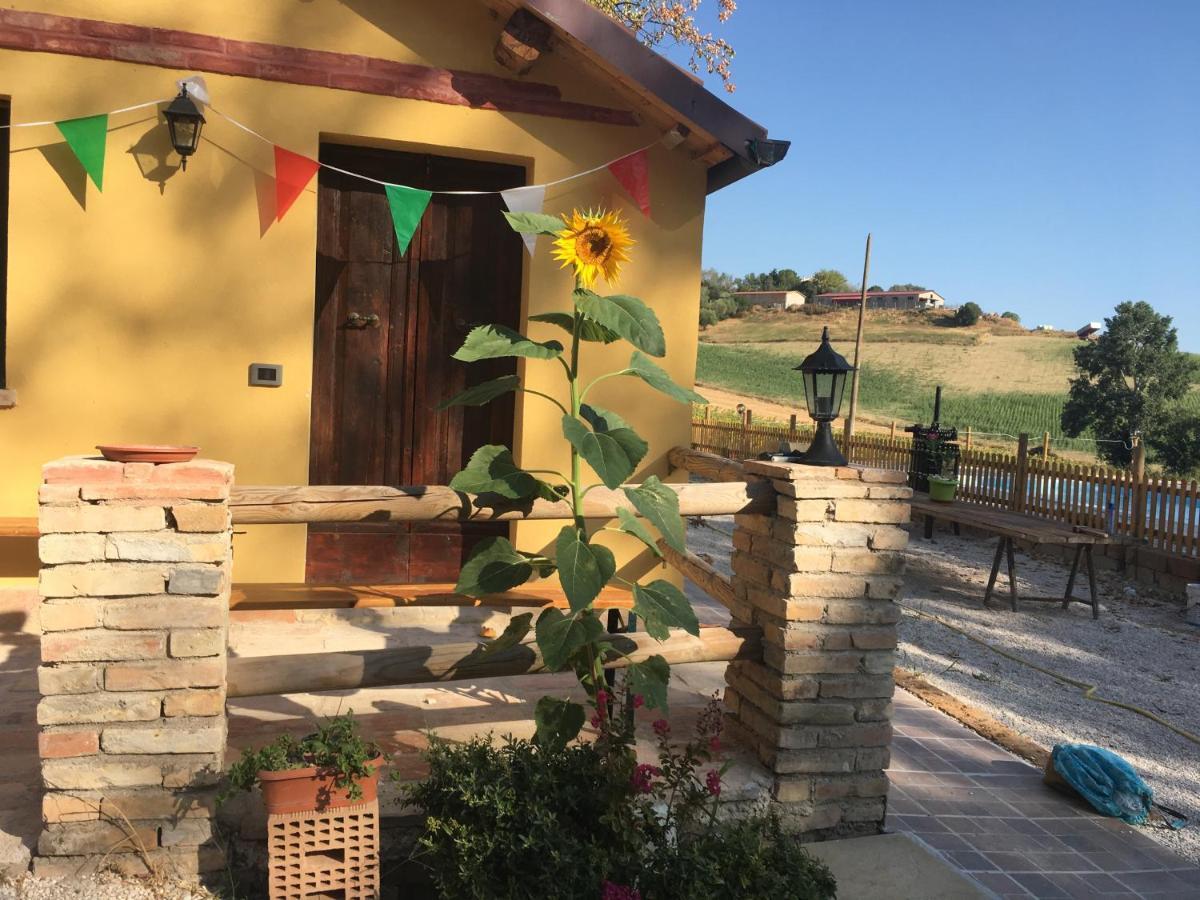 Agriturismo Fattoria Del Colle Iesi Eksteriør bilde