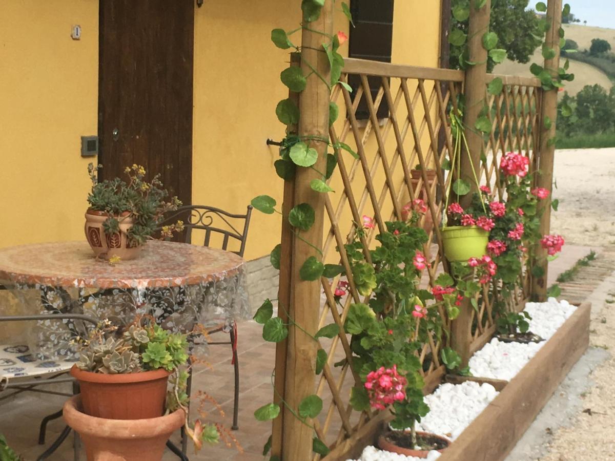 Agriturismo Fattoria Del Colle Iesi Eksteriør bilde