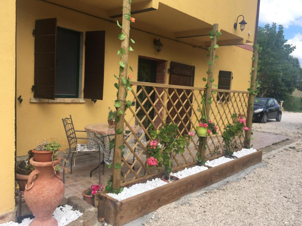 Agriturismo Fattoria Del Colle Iesi Eksteriør bilde