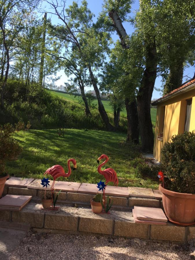 Agriturismo Fattoria Del Colle Iesi Eksteriør bilde